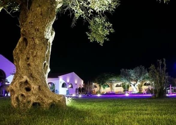 Masseria Colle Carro Ba07200451000019667 ألتامورا المظهر الخارجي الصورة