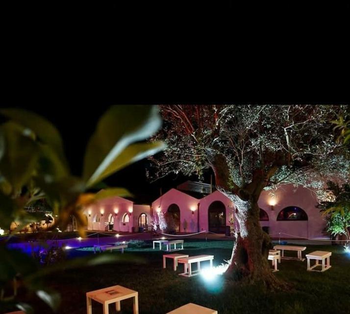 Masseria Colle Carro Ba07200451000019667 ألتامورا المظهر الخارجي الصورة