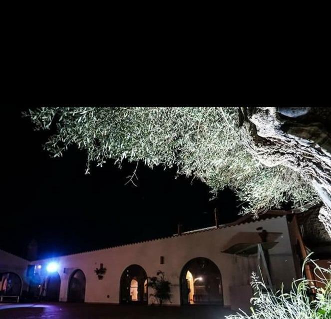 Masseria Colle Carro Ba07200451000019667 ألتامورا المظهر الخارجي الصورة