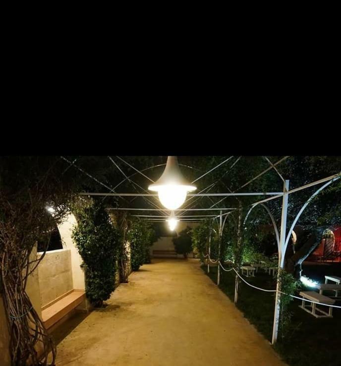 Masseria Colle Carro Ba07200451000019667 ألتامورا المظهر الخارجي الصورة