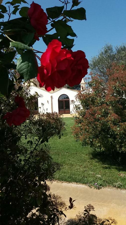 Masseria Colle Carro Ba07200451000019667 ألتامورا المظهر الخارجي الصورة